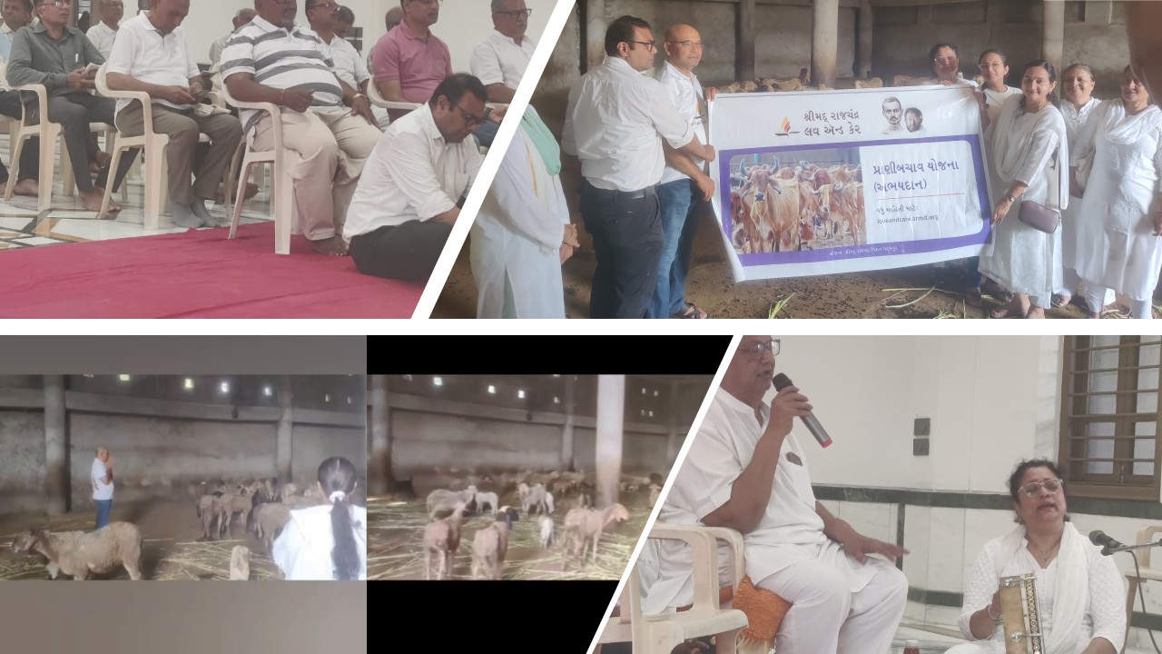 🙏🏼તા 28/05/2026 ને ગુરુવાર ના રોજ બકરી ઇદ નિમિતે 